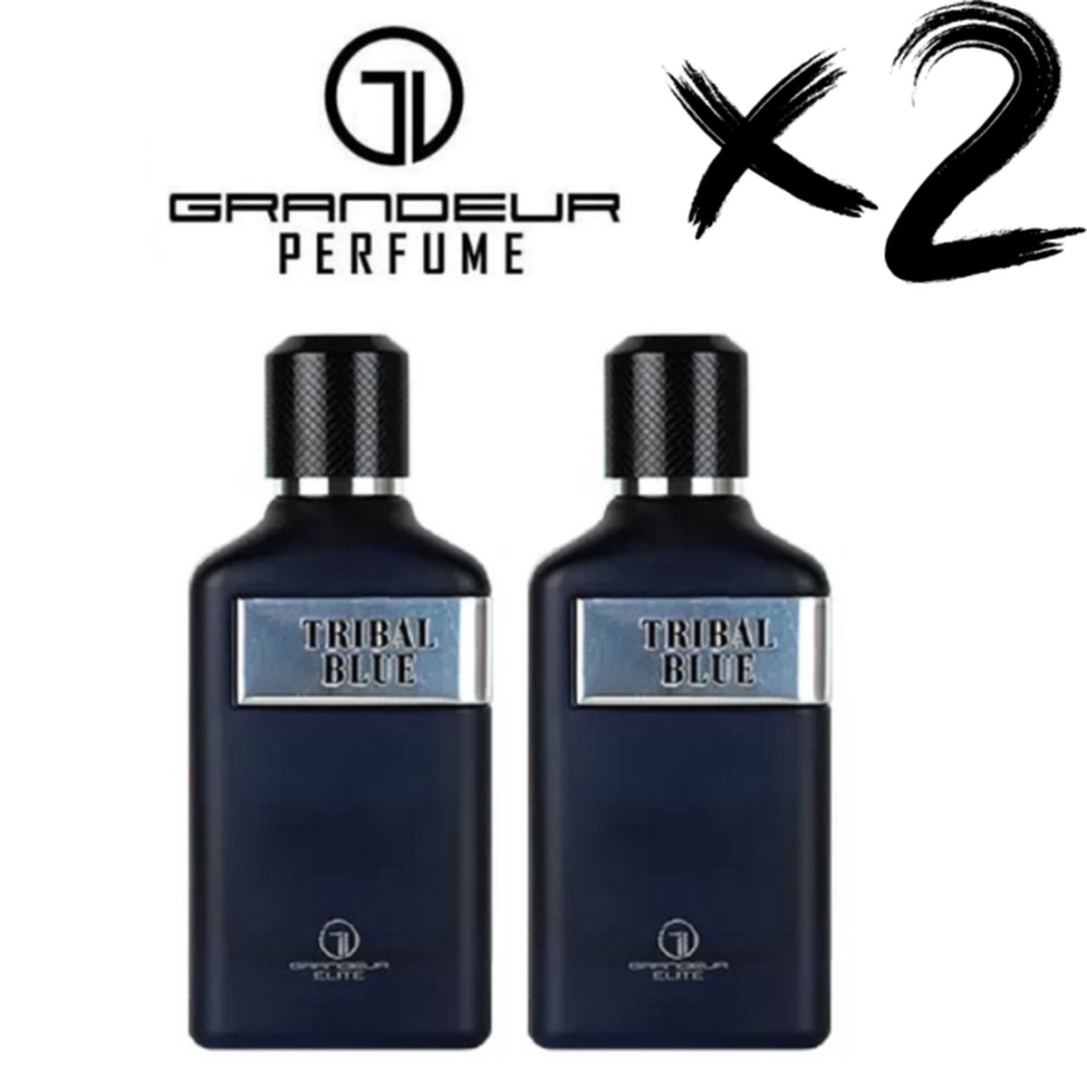 Goedkoopste GRANDEUR 2 X Perfume TRIBAL BLUE, 100ml