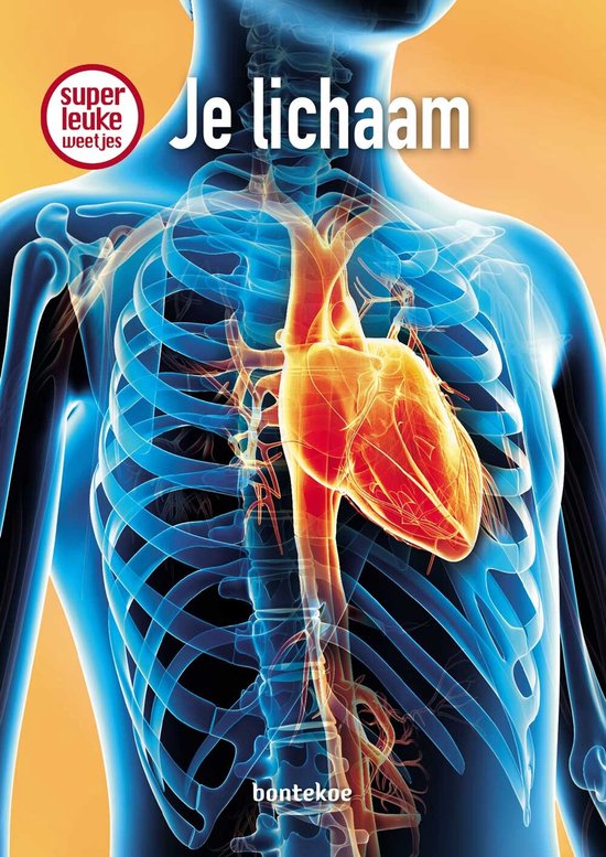 weetjes over je lichaam