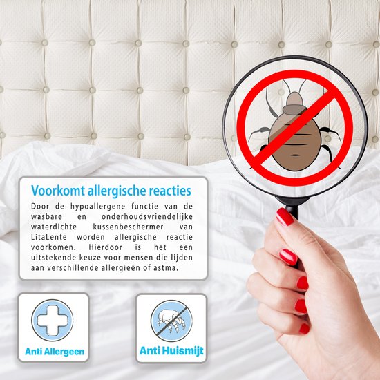 Coussin avec texte 'Prévient les réactions allergiques', symboles anti acariens et anti allergènes.