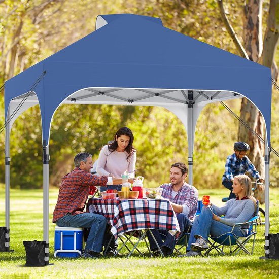 arvioo Paviljoen van 2,5 x 2,5 m, met 4 zijwanden, beschermt
