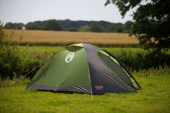 Coleman Darwin 3 koepeltent in groen en grijs, opgesteld op gras met weide en bomen op de achtergrond.