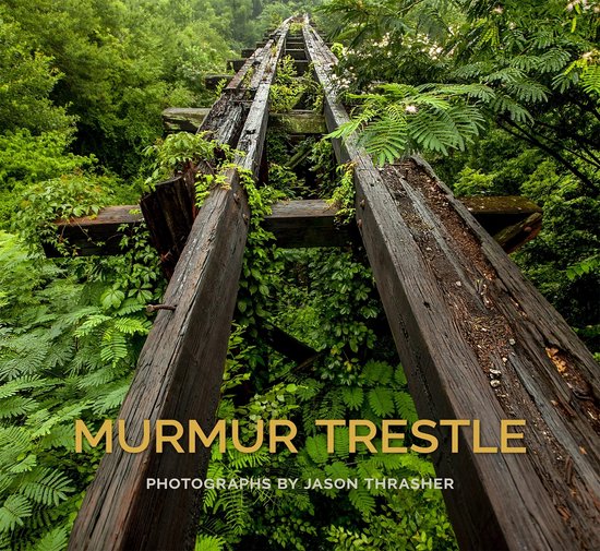 Murmur Trestle - cover