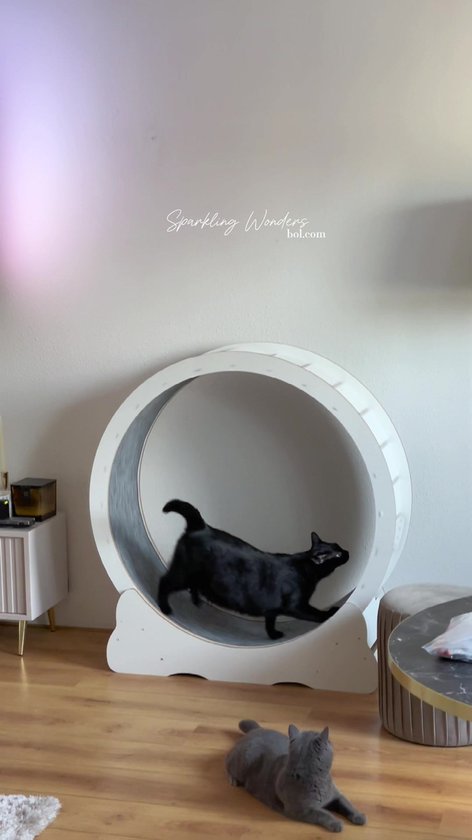 Cat Track, Cat Exercise Wheel, Cat Loopband, Natural Massive Wood Cat Loopfiets, met Sloten, Tapijt, Cat Running Machine Perfect voor gewichtsverlies of energieke kat