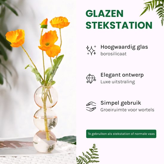 RootHome - Luxe Stekvaas Transparant - stek vazen - stek vaasjes - stek decoratie - stek glazen - stekjes - stekken - hydrocultuur