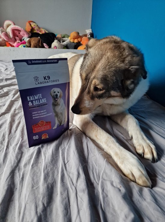 K9 Laboratories Kalmte & Balans - Honden Supplement - Anti Stress, Angst, Agressie - Met Valeriaan, L-tryptofaan & Hennepzaadolie - 60 Stuks