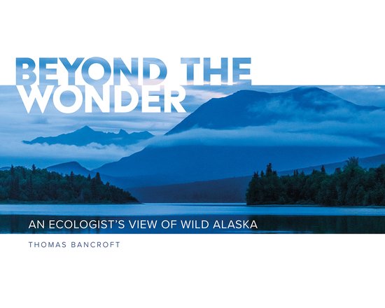 Beyond the Wonder - cover
