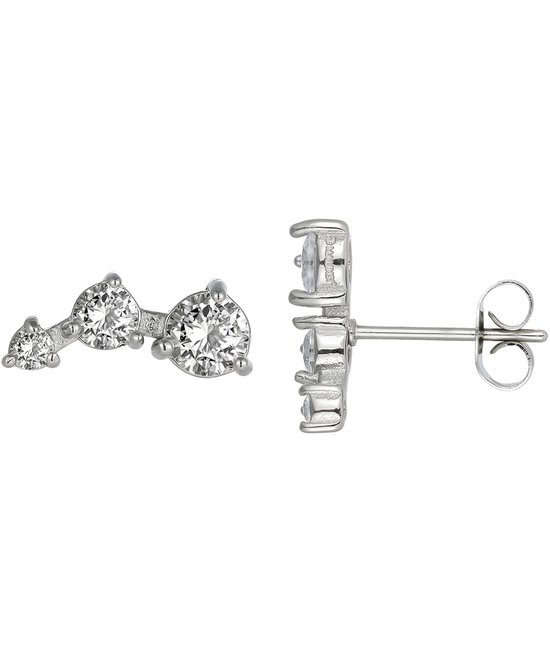 Malinsi® Oorbellen Dames 3D - Oorknopjes Zilverkleurig 12mm RVS - Sieraden Oorringen Vrouw - Oorstekers meisje
