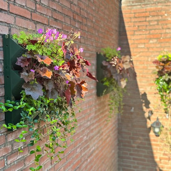 Trio Planter set (x3) - Inclusief bevestiging - Verticale tuin met watersysteem - Hangende bloempot - Plantenbakken voor buiten - Verticale moestuin - Geschikt voor Balkon en Muur