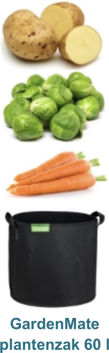 Duurzaam&Mi - Duurzaam Plantenzakken 10 gallons (set van 5) - 40cm x 30cm - zwart - 45 Liter - kweekzak - plantzak - herbruikbaar - vliesstoff - tuin - tuinieren - planten - fruit - groen - milieuvriendelijk - balkonplanten - groentebedden -