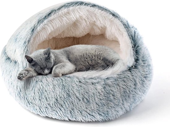 Verse BIO Kattengras Plant ✿ Voor Knaagdieren & Konijnen! | DRD Knaagdierwinkel Verse BIO Kattengras Plant ✿ Voor Knaagdieren & Konijnen! | DRD Knaagdierwinkel