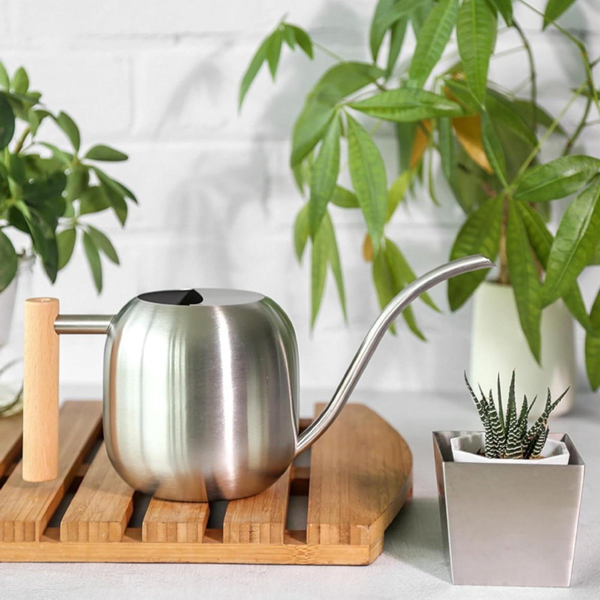 12 liter roestvrijstalen gieter voor binnen - comfortabel houten handvat - lange dunne schenktuit - kamerplanten en vetplanten - zilver