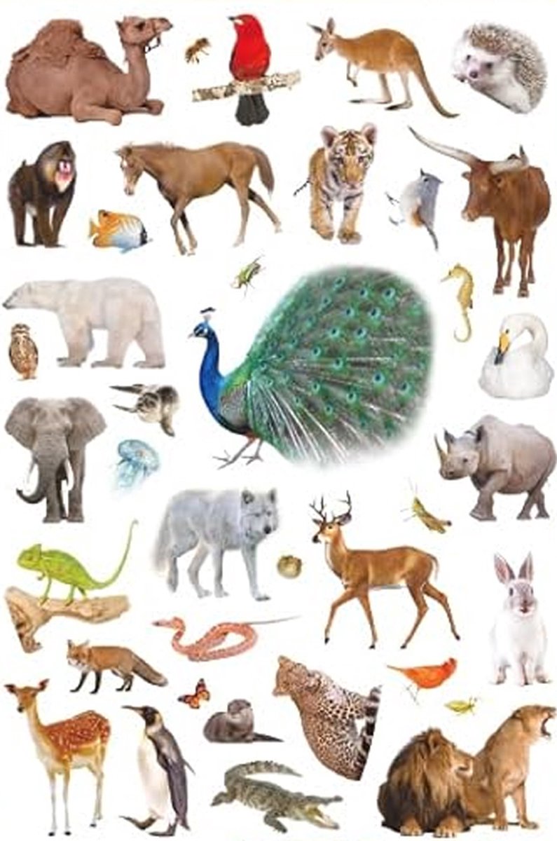 Wilde Dieren Stickers - 4 Grote Stickervellen - Knutselen Kind - Stickers Dieren — afbeelding 2