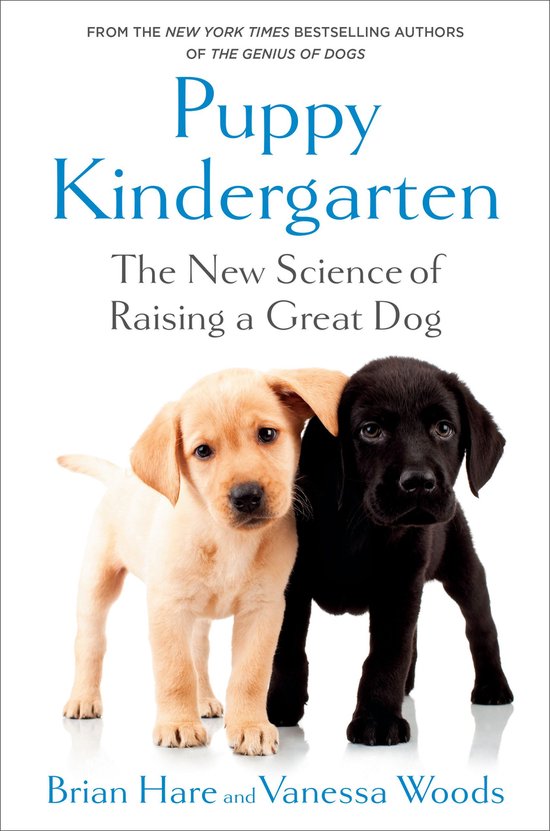Puppy Kindergarten - cover
