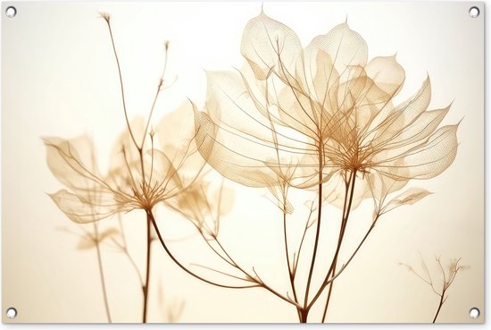 Tuinposter 90x60 cm - Tuindecoratie Droogbloemen - Beige - Planten - Wit - Poster voor in de tuin - Buiten decoratie - Schutting tuinschilderij - Tuindoek muurdecoratie - Wanddecoratie balkondoek