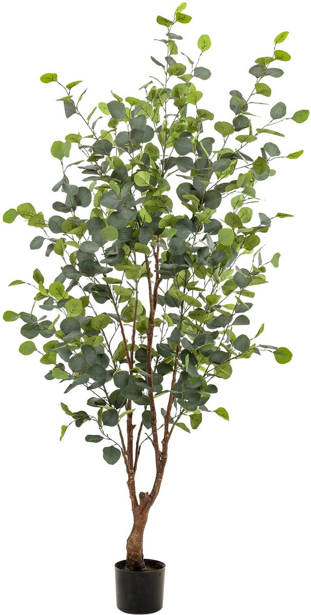Kunstplant - Eucalyptus - Blauwe Gomboom - 140