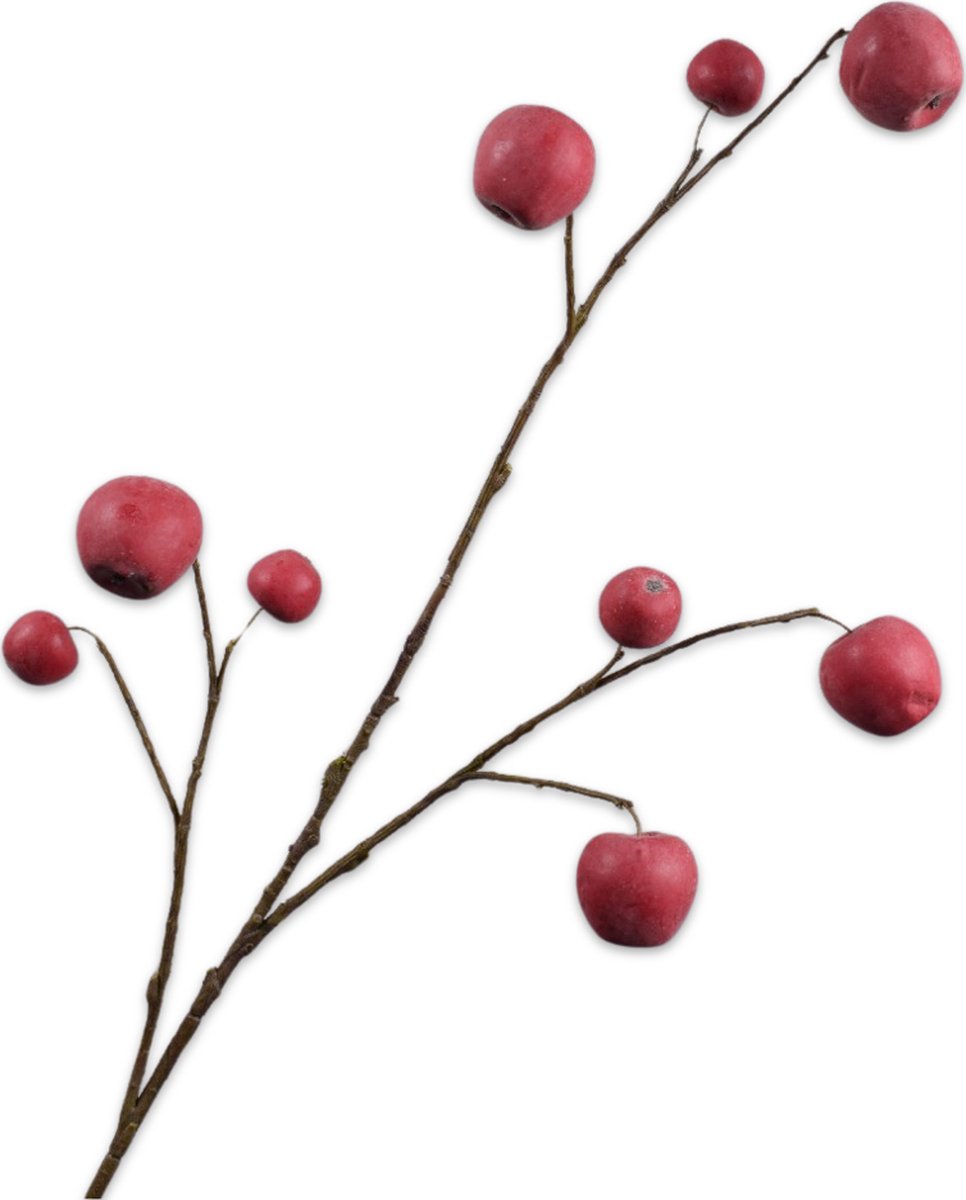 Silk-ka Kunstbloem-Zijden Bloem Appel Tak Rood-Roze 123 cm