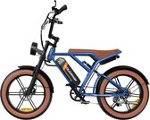 Colorway Elektrische Fatbike | Electric Off-Road Bike | E-bike | 250W Motor | 20 Inch