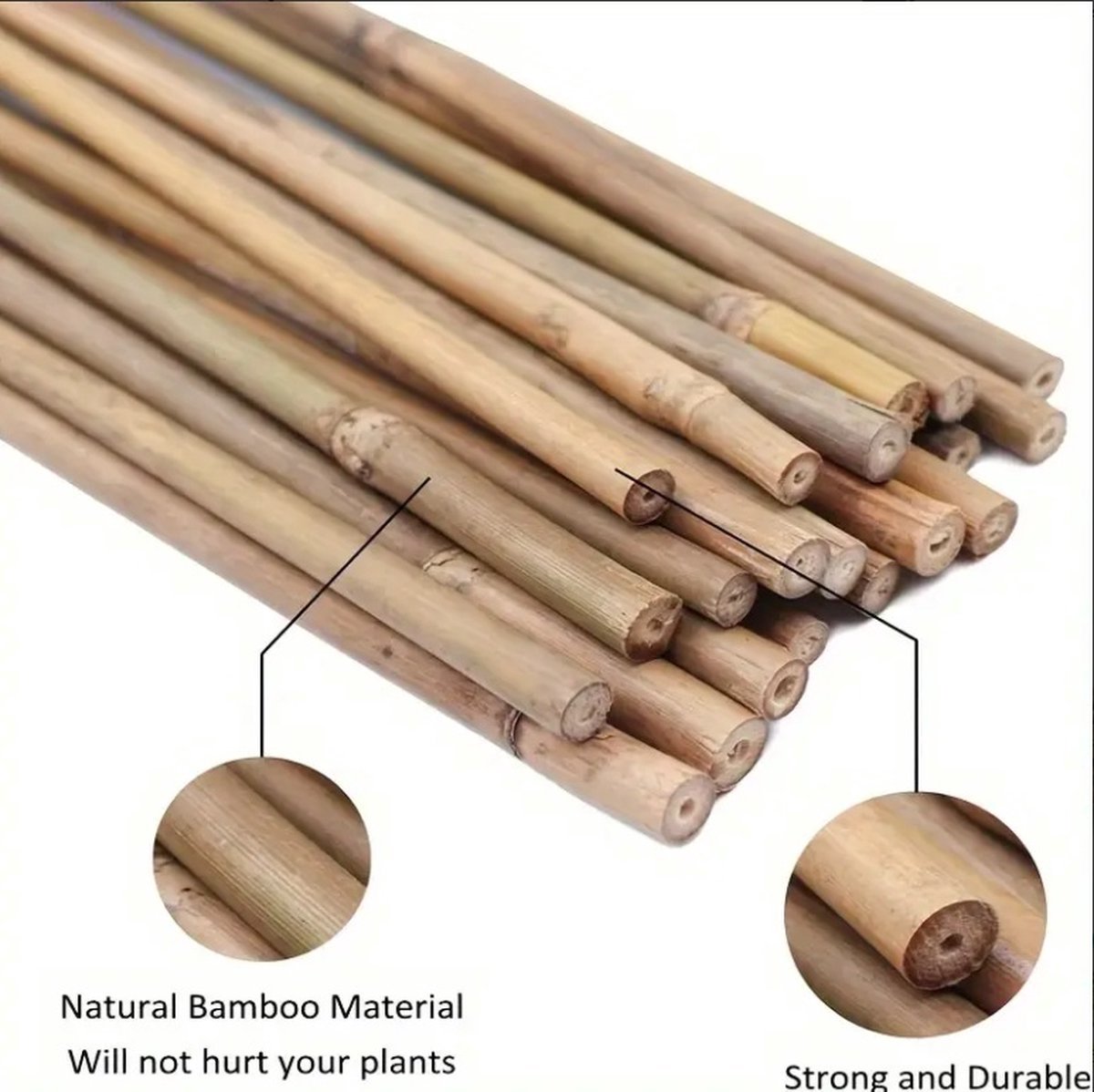 Tonkinstokken - 25 stuks - 122 cm - Voor plantenondersteuning