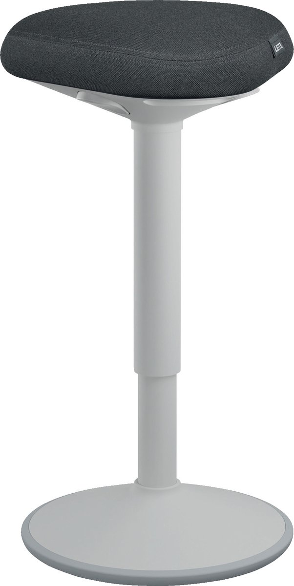 Leitz Ergo Active Zit Sta Kruk met (EAN: ...8425)