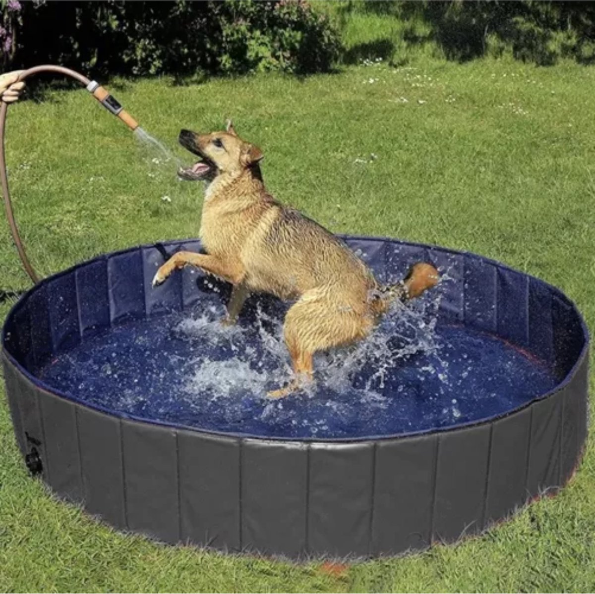 Purlov Groot Opvouwbaar Hondenzwembad 120 x 30 cm met Anti-slip Bodem thumbnail 7