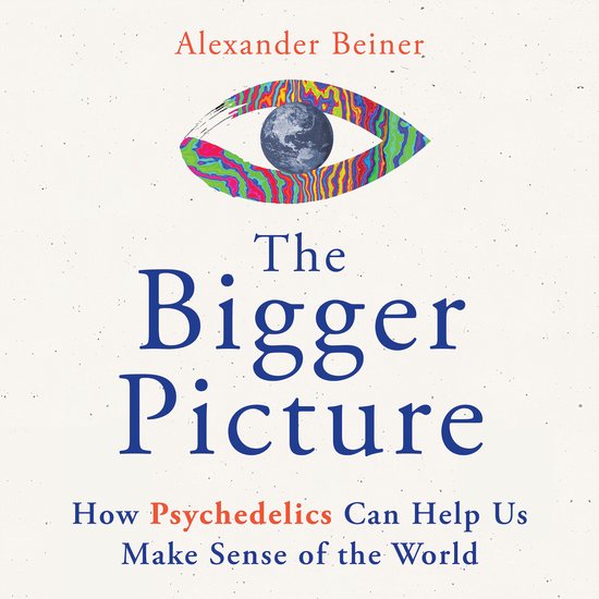 The Bigger Picture - cover