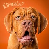 Snuit Shop wenskaart verjaardag hond 'Rimpels?'