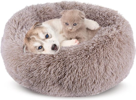Comfy Hond - Honden comfort voor iedere hond! - Shop Nu
