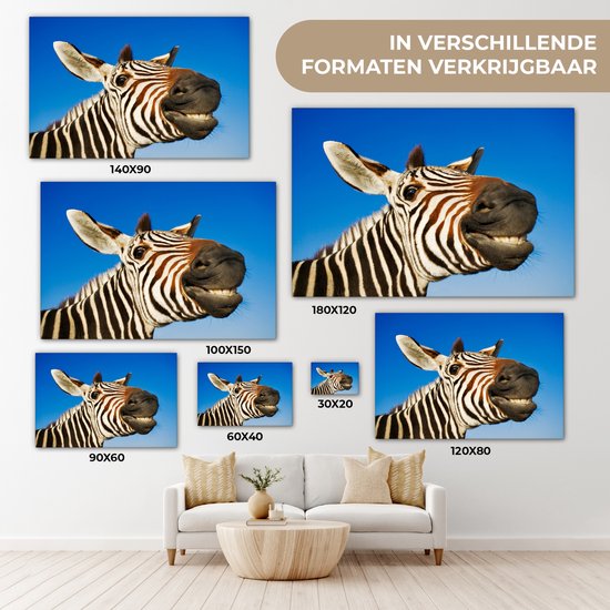 Une drôle de toile de zèbre grimaçant 140x90 cm - Tirage photo sur toile (Décoration murale salon / chambre)