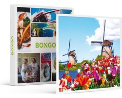 Bongo Bon -3 Dagen Weg In Nederland- Cadeaukaart