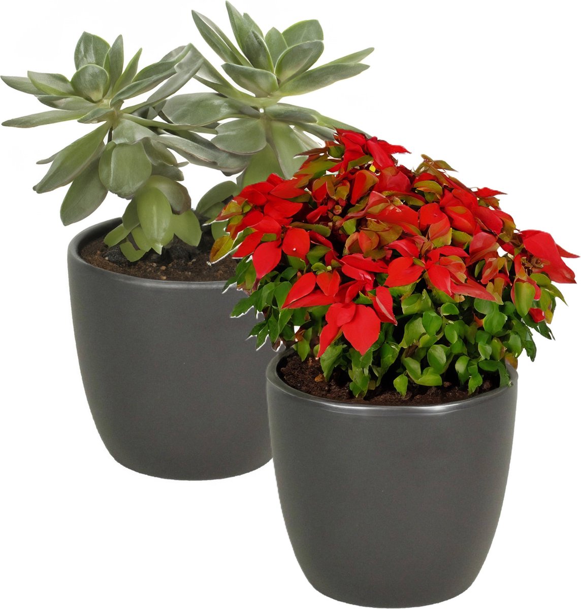2x bloempot in kleur mat antraciet grijs keramiek voor kamerplant h13.5 x d15.5 cm- plantenpotten binnen