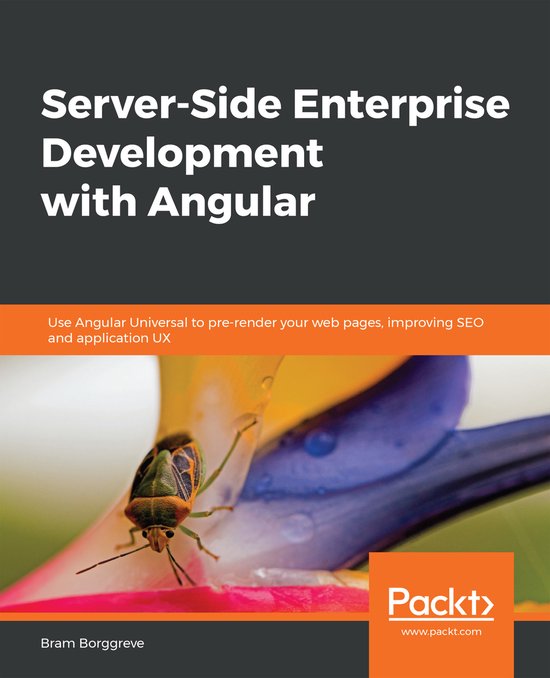 Server-Side Enterprise Development with Angular - cover