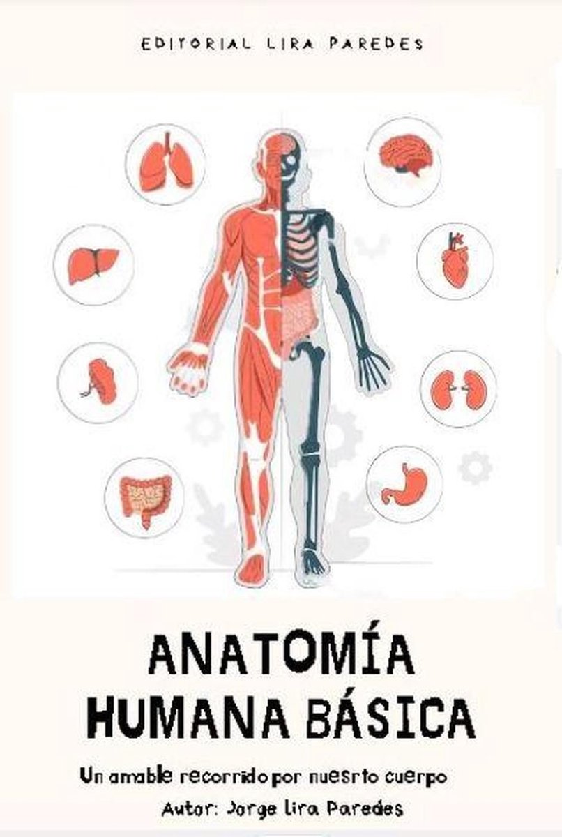 Anatomia Humana O Que é Anatomia Humana? Entenda A Posição