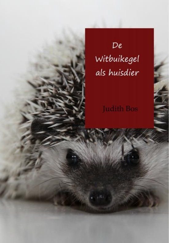 De Witbuikegel als huisdier - cover
