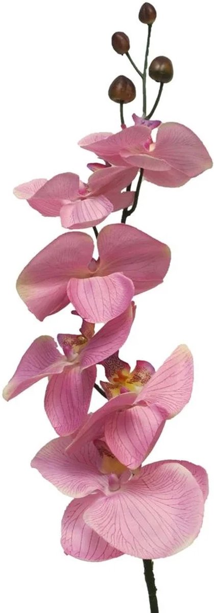 Bellatio Design Kunstbloem Orchidee Milan - roze - 78 cm - losse steel - kunst zijdebloemen - Phalaenopsis