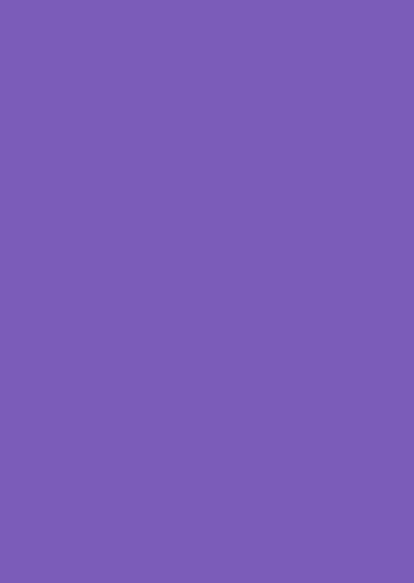 EVA foam vellen 2mm 22x30cm 10 st Paars 12315-1514