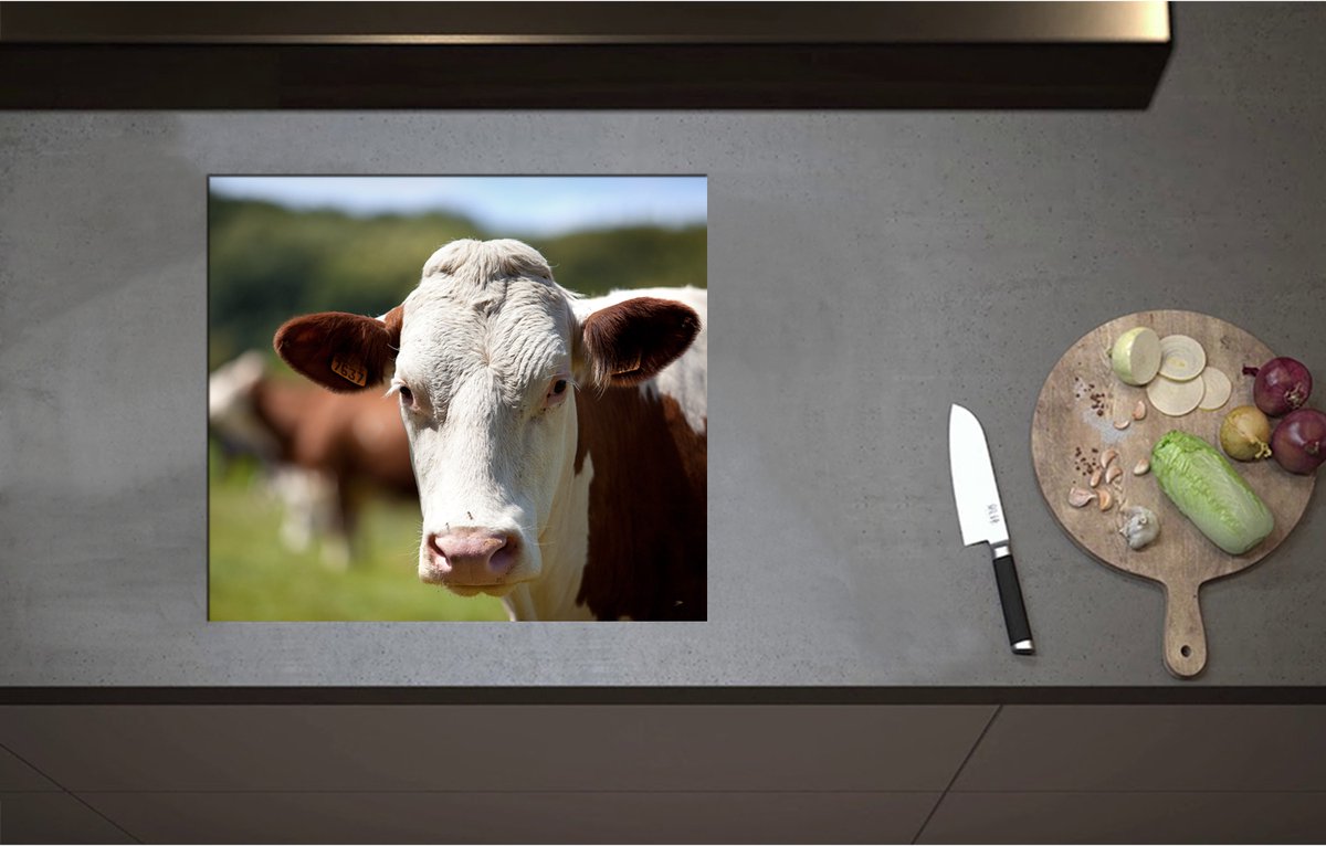 Inductieplaat Beschermer - Bruin met Witte Koe bij Andere Koeien in de Wei - 57x51 cm - 2 mm Dik - Inductie Beschermer - Bescherming Inductiekookplaat - Kookplaat Beschermer van Zwart Vinyl