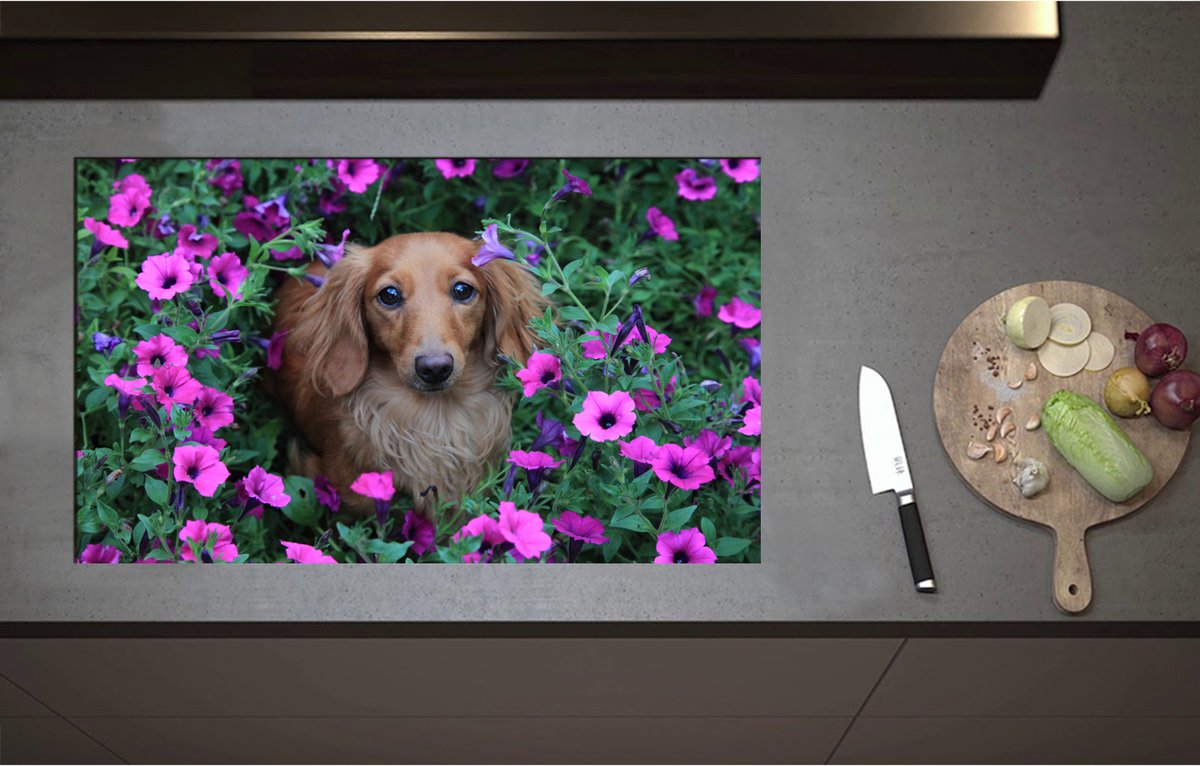 Inductieplaat Beschermer - Bruine Teckel tussen de Paarse Bloemen - 85x51 cm - 2 mm Dik - Inductie Beschermer - Bescherming Inductiekookplaat - Kookplaat Beschermer van Wit Vinyl