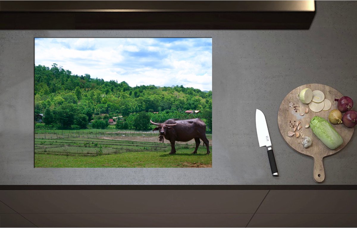Inductieplaat Beschermer - Buffalo bij Groen Weiland aan de Rand van Bos - 75x55 cm - 2 mm Dik - Inductie Beschermer - Bescherming Inductiekookplaat - Kookplaat Beschermer van Zwart Vinyl