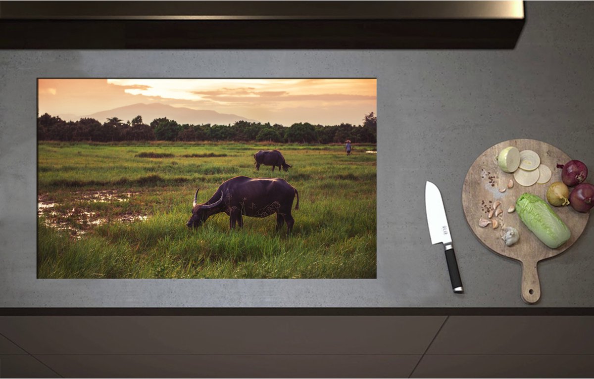 Inductieplaat Beschermer - Buffels Grazend in het Landschap - 85x51 cm - 2 mm Dik - Inductie Beschermer - Bescherming Inductiekookplaat - Kookplaat Beschermer van Zwart Vinyl