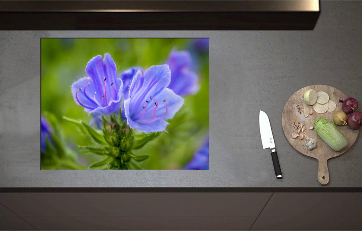Inductieplaat Beschermer - Close Up van Blauwe Slangenkruid Bloemen - 70x55 cm - 2 mm Dik - Inductie Beschermer - Bescherming Inductiekookplaat - Kookplaat Beschermer van Wit Vinyl