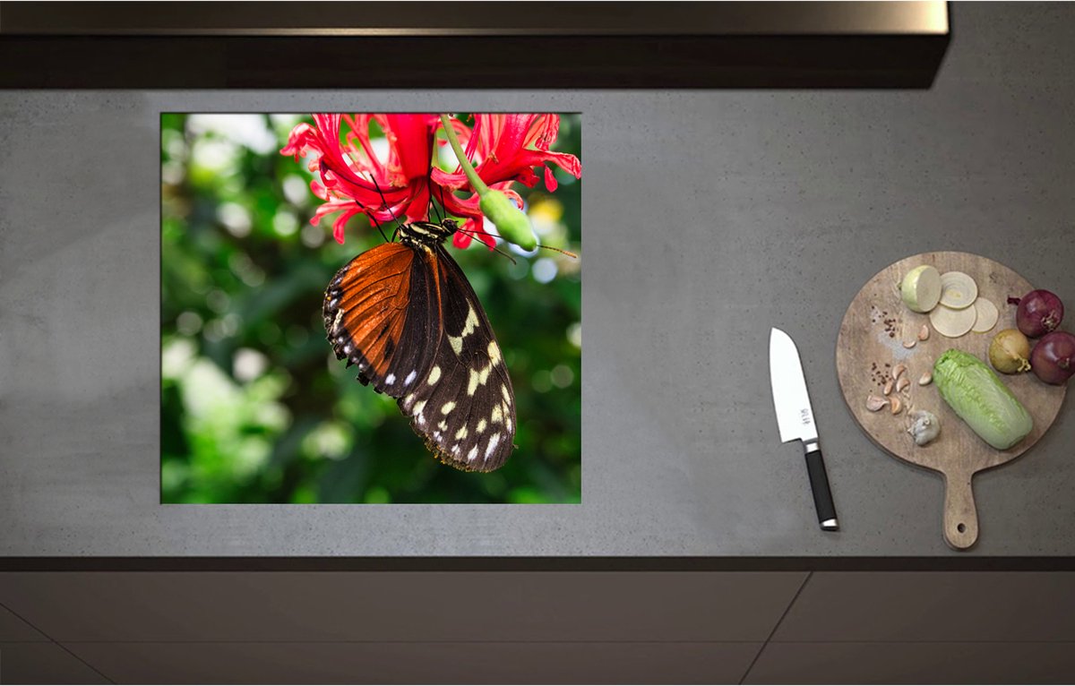 Inductieplaat Beschermer - Bruin met Zwarte Vleugels van Vlinder op Rode Bloeiende Bloem - 59x55 cm - 2 mm Dik - Inductie Beschermer - Bescherming Inductiekookplaat - Kookplaat Beschermer van Wit Vinyl