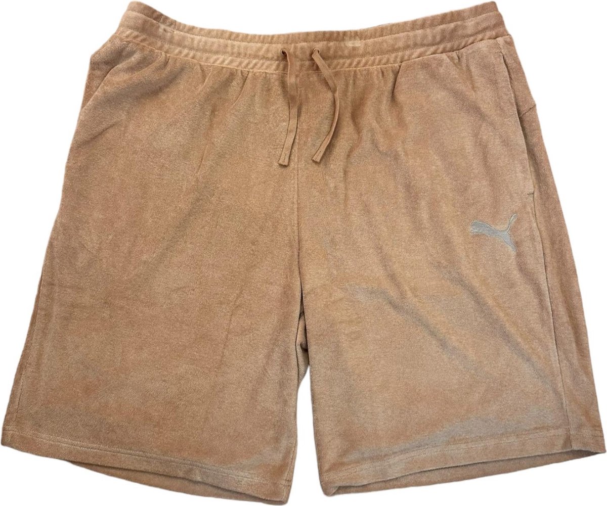Puma 684355 63 Shorts Mannen Bruin