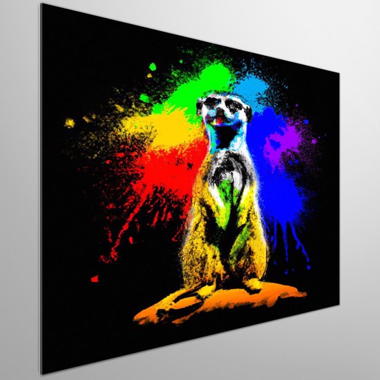 Colorful meerkat burst | Colorful Meerkat Burst | Kunst - centimeter op | Foto op | Colorful meerkat burst | Colorful Meerkat Burst | Kunst - centimeter op | Foto op | Dibond | 20 × 20 cm