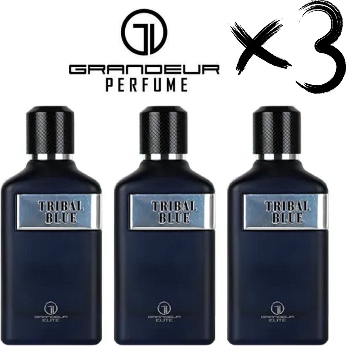 Goedkoopste GRANDEUR 3 X Perfume TRIBAL BLUE, 100ml