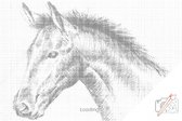 Stippeltekening - Dotting - Stippelschilderij - 40 x 50 cm - Paard