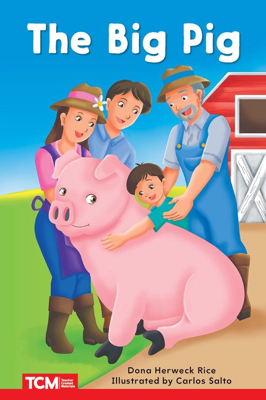Decodable Books: Read & Succeed 9 - The Big Pig