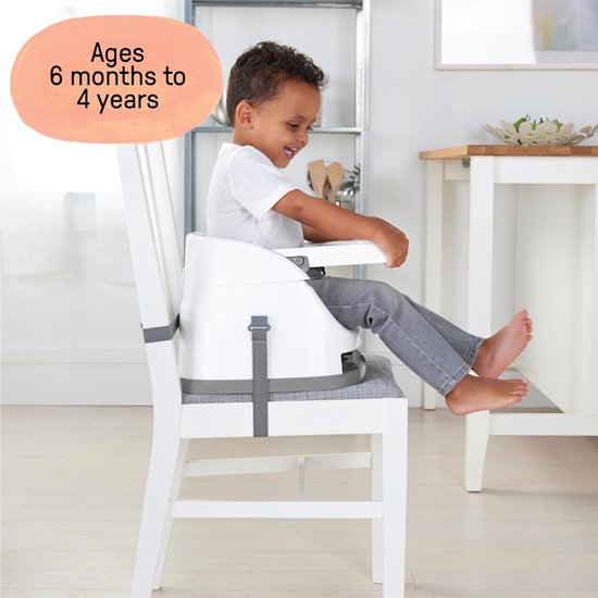 2-in-1 babyzitje voor het voeden en spelen - afneembaar dienblad - leisteen - 43.8 x 38.7 x 29.8 - 1 stuk van INGENUITY — afbeelding 4