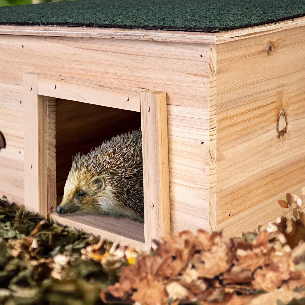 Zet Een Egelhuis In Je Tuin Voor Een Veilige, Beschutte En Droge Plek Voor Egeltjes