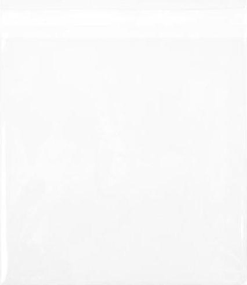 Goedkoopste Milieuvriendelijke Zakjes Bioplastic 64x64mm - 100 st