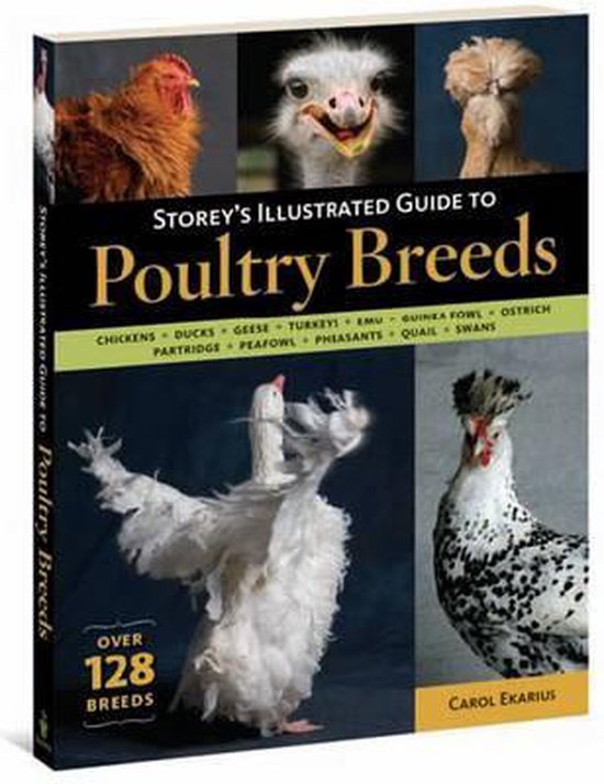 Storey'S Illustrated Guide To Poultry Breeds - cover